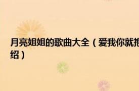 月亮姐姐的歌曲大全（爱我你就抱抱我 月亮姐姐演唱歌曲相关内容简介介绍）