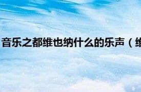 音乐之都维也纳什么的乐声（维也纳音乐之都相关内容简介介绍）