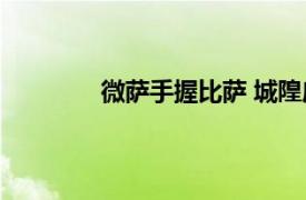 微萨手握比萨 城隍庙店相关内容简介介绍