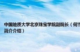 中国地质大学北京珠宝学院副院长（何雪梅 中国地质大学 北京珠宝学院副教授相关内容简介介绍）