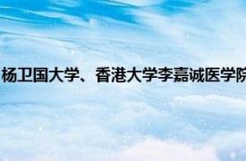 杨卫国大学、香港大学李嘉诚医学院、香港大学临床医学院骨科及创伤学系