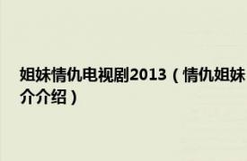 姐妹情仇电视剧2013（情仇姐妹 2012年中国大陆电视连续剧相关内容简介介绍）