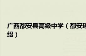 广西都安县高级中学（都安瑶族自治县高级中学相关内容简介介绍）