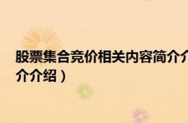 股票集合竞价相关内容简介介绍说明（股票集合竞价相关内容简介介绍）