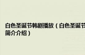 白色圣诞节韩剧播放（白色圣诞节 韩国2011年金容秀导演电视剧相关内容简介介绍）