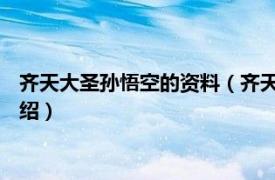 齐天大圣孙悟空的资料（齐天大圣孙悟空 香港版相关内容简介介绍）