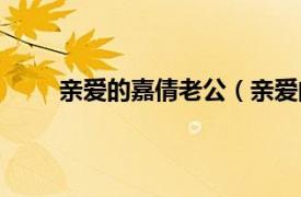 亲爱的嘉倩老公（亲爱的嘉倩相关内容简介介绍）