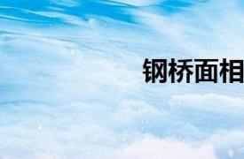 钢桥面相关内容简介