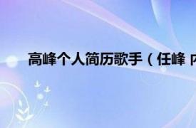 高峰个人简历歌手（任峰 内地男歌手相关内容简介介绍）