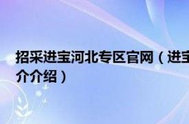 招采进宝河北专区官网（进宝网络科技河北有限公司相关内容简介介绍）