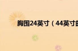 胸围24英寸（44英寸的胸围相关内容简介介绍）