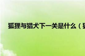 狐狸与猎犬下一关是什么（狐狸与猎狗1相关内容简介介绍）