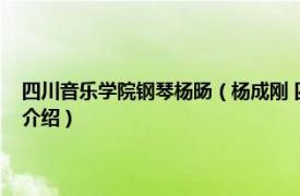 四川音乐学院钢琴杨旸（杨成刚 四川音乐学院钢琴系副教授相关内容简介介绍）