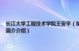 长江大学工程技术学院王安平（胡江平 湖北工程职业学院副教授相关内容简介介绍）