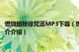 燃烧翅膀徐梵溪MP3下载（燃烧翅膀 徐梵溪演唱歌曲相关内容简介介绍）