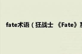 fate术语（狂战士 《Fate》系列中的用语相关内容简介介绍）