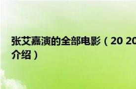 张艾嘉演的全部电影（20 2004年张艾嘉导演电影相关内容简介介绍）