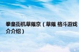 拳皇街机草薙京（草薙 格斗游戏《拳皇》系列中草薙京的幻影相关内容简介介绍）