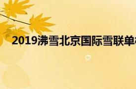 2019沸雪北京国际雪联单板及自由式滑雪大跳台世界杯