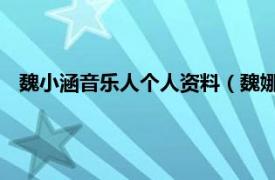 魏小涵音乐人个人资料（魏娜 原创音乐人相关内容简介介绍）