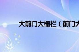 大前门大栅栏（前门大栅栏相关内容简介介绍）