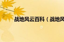 战地风云百科（战地风云OL相关内容简介介绍）