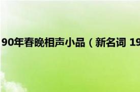 90年春晚相声小品（新名词 1993年春晚相声相关内容简介介绍）