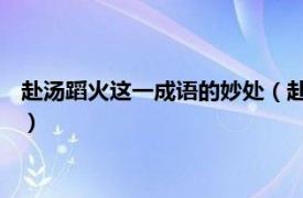 赴汤蹈火这一成语的妙处（赴汤蹈火 汉语成语相关内容简介介绍）