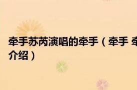 牵手苏芮演唱的牵手（牵手 牵手 苏芮专辑《牵手》相关内容简介介绍）