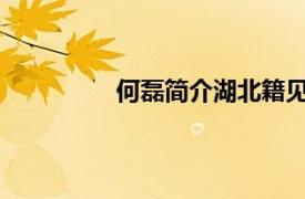 何磊简介湖北籍见义勇为青年相关内容