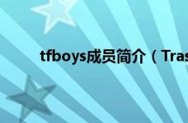 tfboys成员简介（TrashBoy相关内容简介介绍）