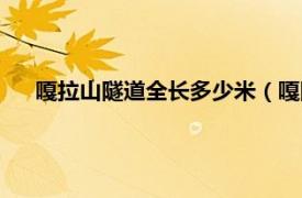 嘎拉山隧道全长多少米（嘎隆拉山隧道相关内容简介介绍）