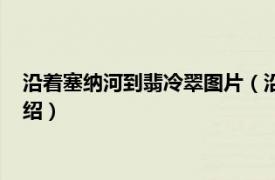 沿着塞纳河到翡冷翠图片（沿著塞纳河到翡冷翠相关内容简介介绍）