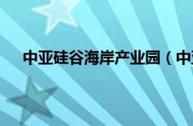 中亚硅谷海岸产业园（中亚硅谷网相关内容简介介绍）