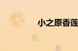 小之原香莲相关内容介绍