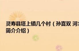 灵寿县塔上镇几个村（孙喜双 河北省石家庄市灵寿县塔上镇镇长相关内容简介介绍）