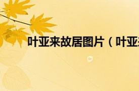 叶亚来故居图片（叶亚来故居相关内容简介介绍）