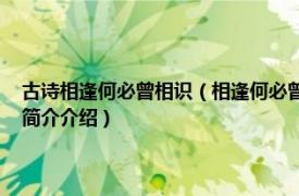 古诗相逢何必曾相识（相逢何必曾相识 白居易诗《琵琶行》句子相关内容简介介绍）