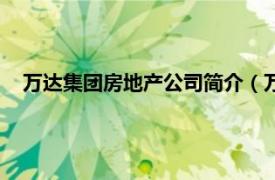 万达集团房地产公司简介（万达商业地产相关内容简介介绍）