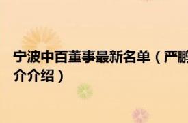 宁波中百董事最新名单（严鹏 宁波中百副董事长董事相关内容简介介绍）