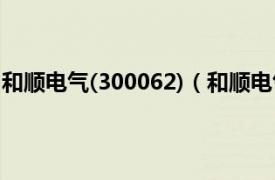 和顺电气(300062)（和顺电气[300141]相关内容简介介绍）