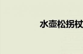 水壶松拐杖相关内容简介