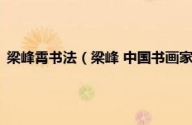 梁峰霄书法（梁峰 中国书画家厦门协会会员相关内容简介介绍）