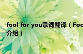 fool for you歌词翻译（Fool for You Duffy单曲相关内容简介介绍）