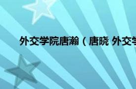 外交学院唐瀚（唐晓 外交学院副教授相关内容简介介绍）