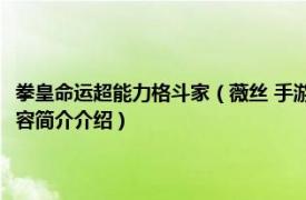 拳皇命运超能力格斗家（薇丝 手游《拳皇命运》里一名R级的格斗家相关内容简介介绍）