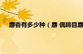 麝香有多少种（麝 偶蹄目麝科麝属动物相关内容简介介绍）