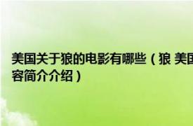 美国关于狼的电影有哪些（狼 美国1994年迈克尼科尔斯执导的电影相关内容简介介绍）