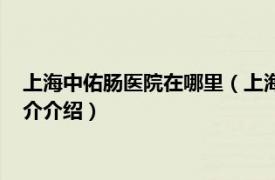 上海中佑肠医院在哪里（上海中佑肛肠医院有限公司相关内容简介介绍）