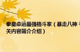 拳皇命运最强格斗家（暴走八神 手游《拳皇命运》一名SSR级的格斗家相关内容简介介绍）